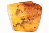 Detailed Fossil Dagger Fly, Wasp, & Biting Midge in Baltic Amber #325350-1